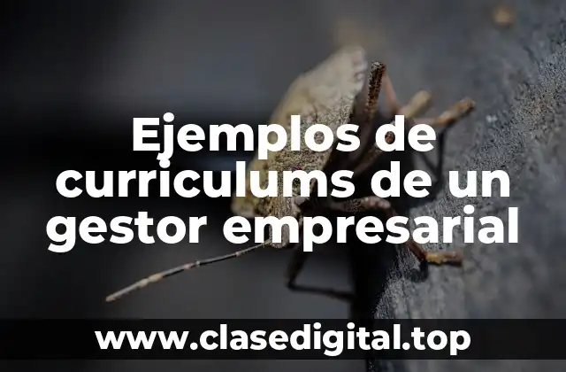 Ejemplos de curriculums de un gestor empresarial