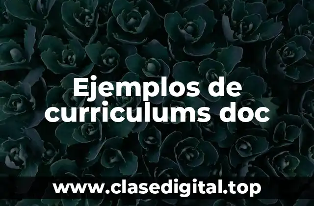 Ejemplos de curriculums doc