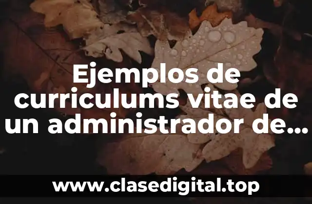 Ejemplos de curriculums vitae de un administrador de recursos humanos y Significado