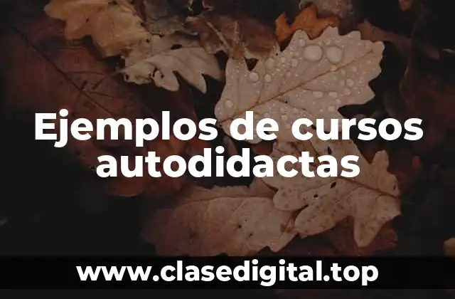 Ejemplos de cursos autodidactas