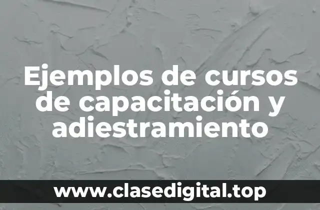Ejemplos de cursos de capacitación y adiestramiento