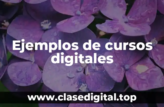 Ejemplos de cursos digitales