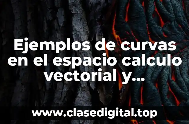 Ejemplos de curvas en el espacio calculo vectorial y Significado