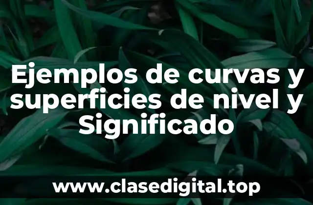 Ejemplos de curvas y superficies de nivel y Significado