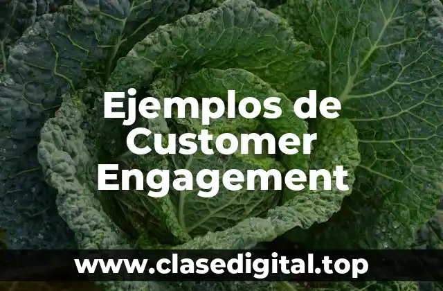 Ejemplos de Customer Engagement