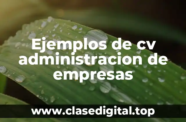 Ejemplos de cv administracion de empresas