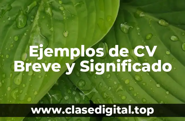 Ejemplos de CV Breve y Significado