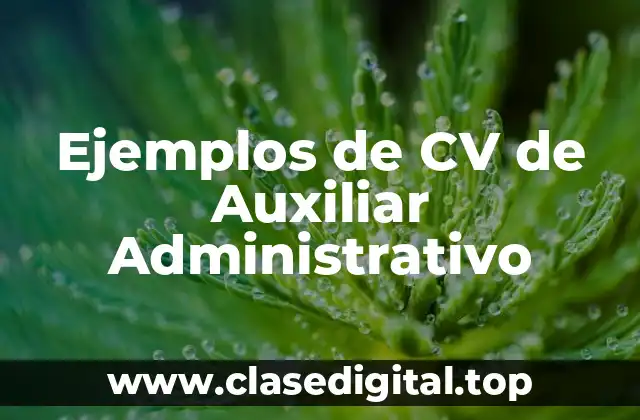 Ejemplos de CV de Auxiliar Administrativo