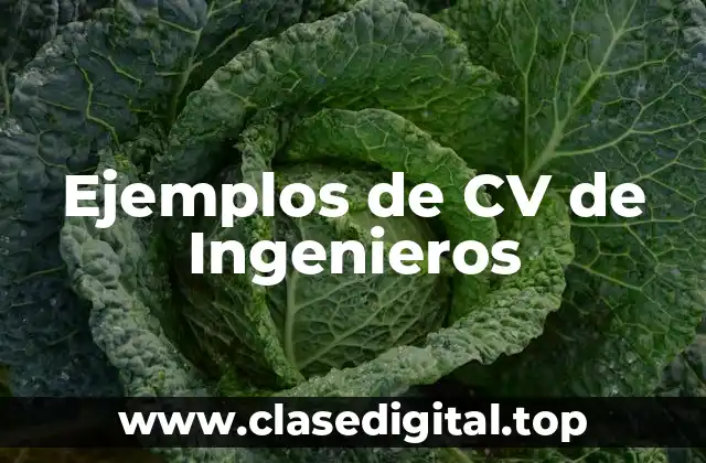 Ejemplos de CV de Ingenieros