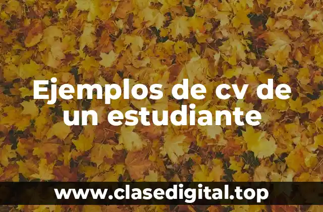 Ejemplos de cv de un estudiante
