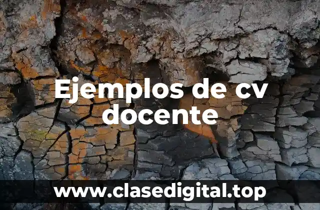 Ejemplos de cv docente