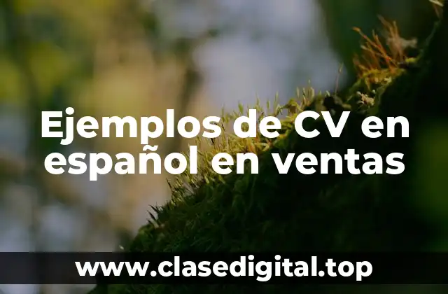 Ejemplos de CV en español en ventas