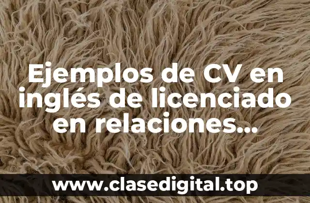 Ejemplos de CV en inglés de licenciado en relaciones internacionales
