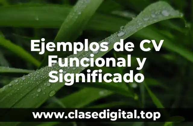 Ejemplos de CV Funcional y Significado