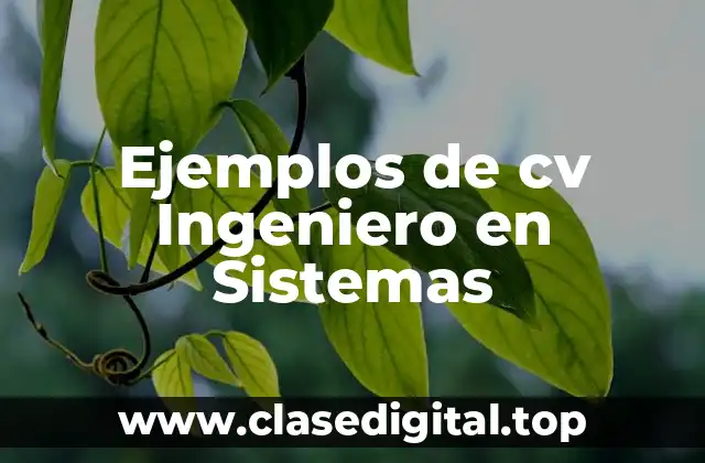 Ejemplos de cv Ingeniero en Sistemas
