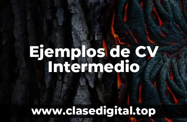 Ejemplos de CV Intermedio