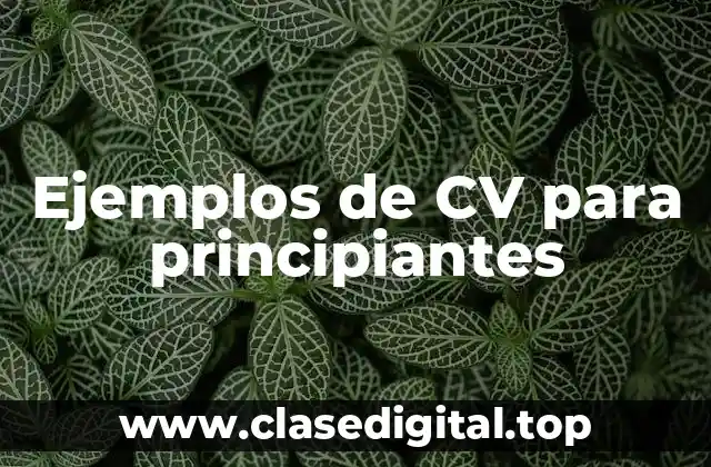 Ejemplos de CV para principiantes