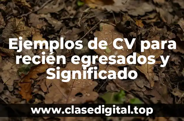 Ejemplos de CV para recién egresados y Significado