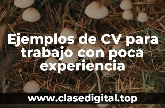 Ejemplos de CV para trabajo con poca experiencia