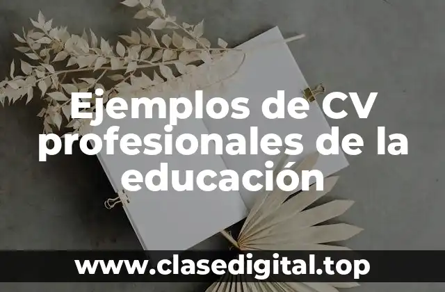 Ejemplos de CV profesionales de la educación