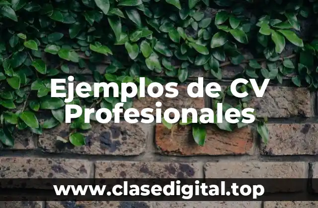 Ejemplos de CV Profesionales