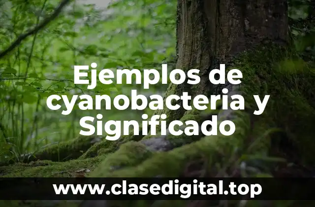 Ejemplos de cyanobacteria y Significado