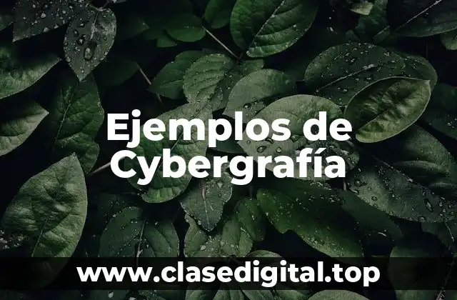 Ejemplos de Cybergrafía