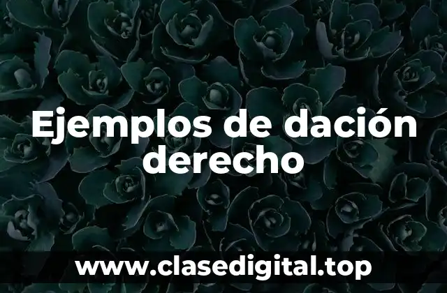 Ejemplos de dación derecho