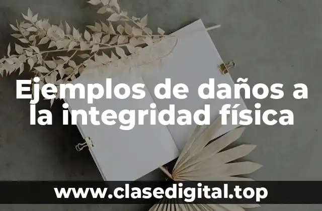 Ejemplos de daños a la integridad física