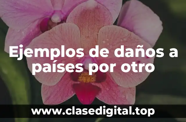 Ejemplos de daños a países por otro