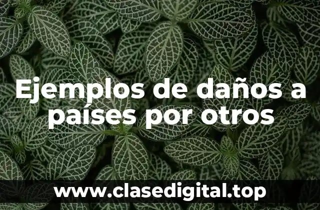 Ejemplos de daños a países por otros