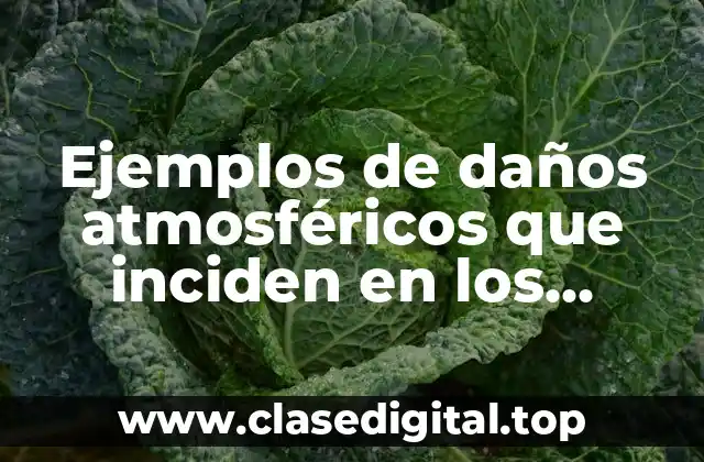 Ejemplos de daños atmosféricos que inciden en los animales