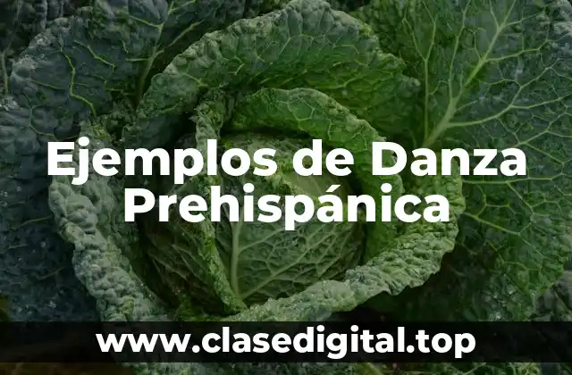 Ejemplos de Danza Prehispánica