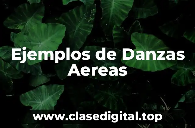 Ejemplos de Danzas Aereas