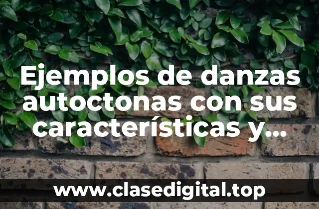 Ejemplos de danzas autoctonas con sus características y vestuarios y Significado