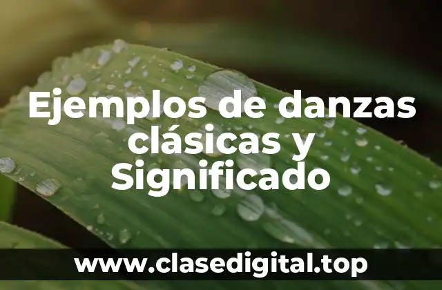 Ejemplos de danzas clásicas y Significado