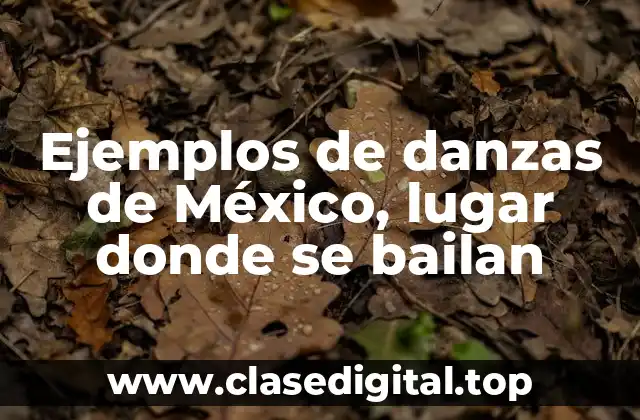 Ejemplos de danzas de México