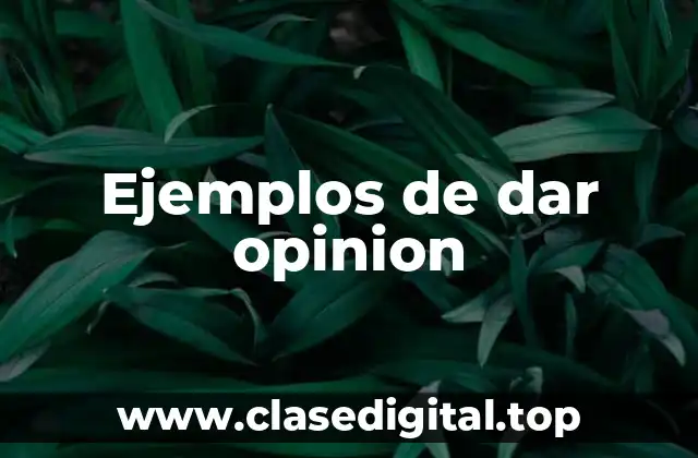 Ejemplos de dar opinion
