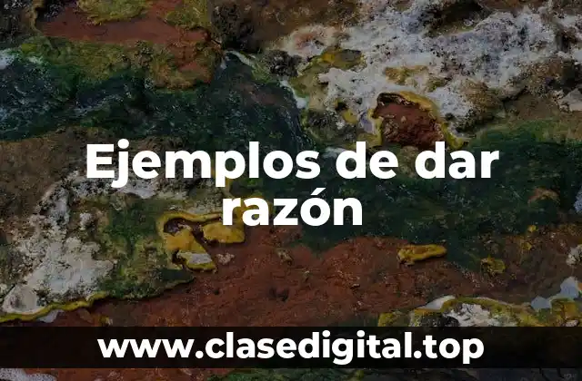 Ejemplos de dar razón