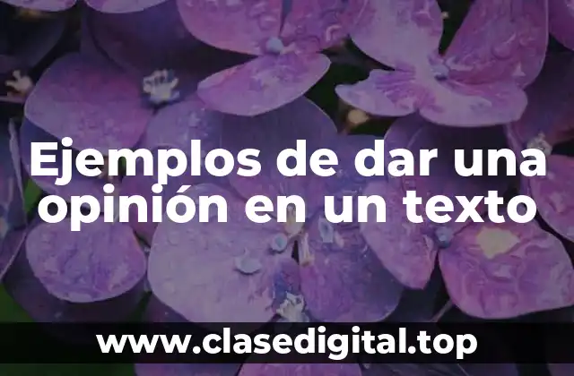 Ejemplos de dar una opinión en un texto