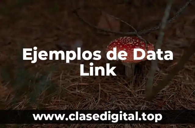 Ejemplos de Data Link