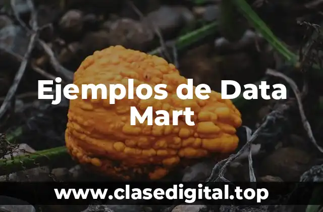 Ejemplos de Data Mart