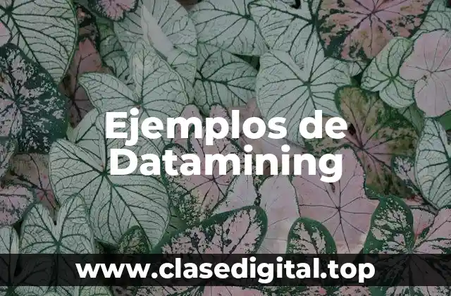 Ejemplos de Datamining