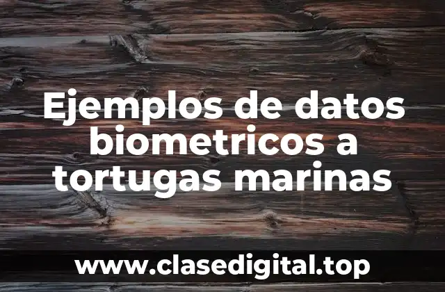 Ejemplos de datos biometricos a tortugas marinas