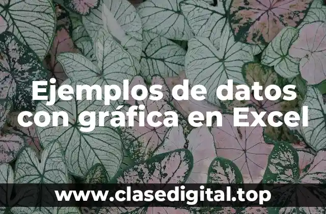 Ejemplos de datos con gráfica en Excel