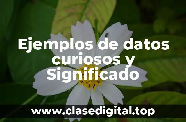 Ejemplos de datos curiosos y Significado