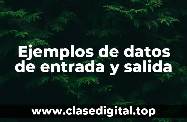 Ejemplos de datos de entrada y salida