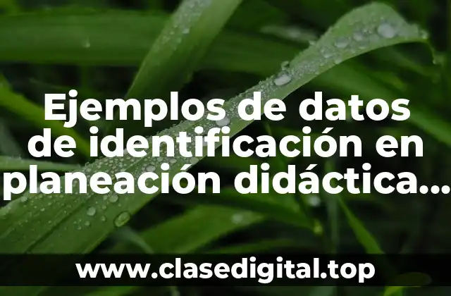Ejemplos de datos de identificación en planeación didáctica preescolar