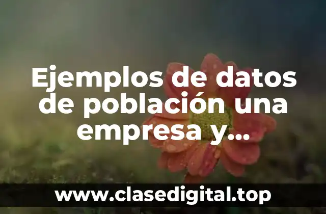 Ejemplos de datos de población una empresa y Significado