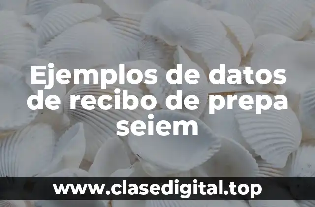 Ejemplos de datos de recibo de prepa seiem